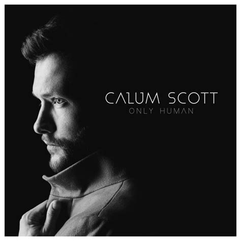 songs similar to you are the reason by callum scott